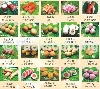 各式火锅料-馥捷冷冻食品有限公司